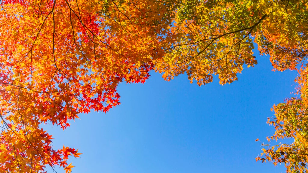 More near-record warmth Monday in Minnesota ahead of big cooldown — WCCO / CBS Minnesota, Richfield Community news