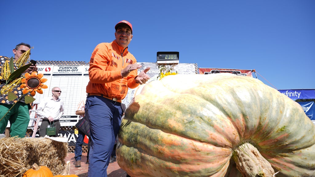 Minnesota man drives hauls giant pumpkin over 2,000 miles to California competition — WCCO / CBS Minnesota, Richfield Community news