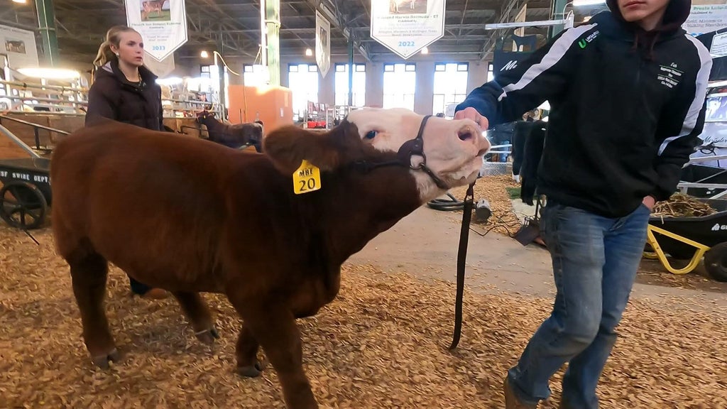 Spotlight on beef as Minnesota midterms near — WCCO / CBS Minnesota, Richfield Community news