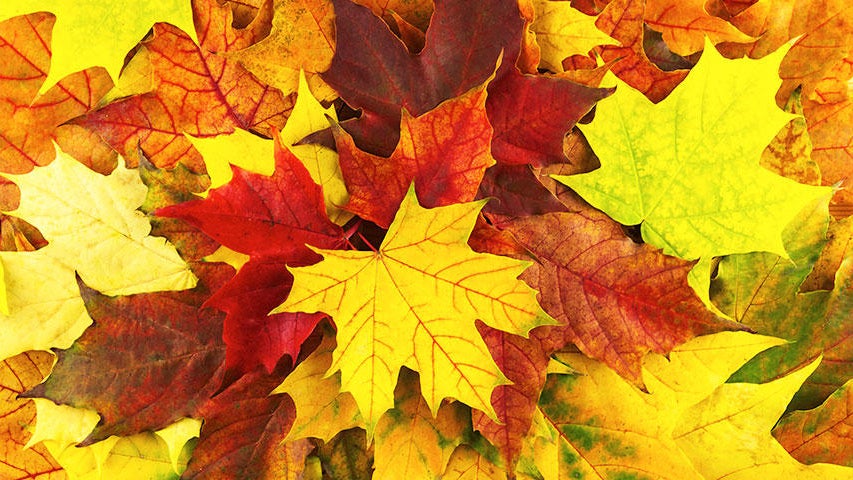 Cooler, quieter fall weather returns Tuesday in the Twin Cities — WCCO / CBS Minnesota, Richfield Community news