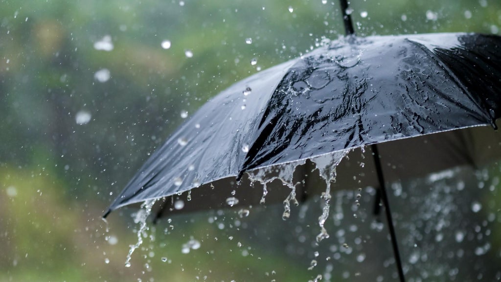 Widespread rain in Minnesota Monday; milder air returns Tuesday — WCCO / CBS Minnesota, Richfield Community news