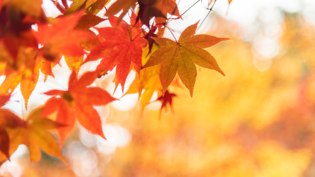 More sunny, mild late October weather in Minnesota Tuesday — WCCO / CBS Minnesota, Richfield Business news
