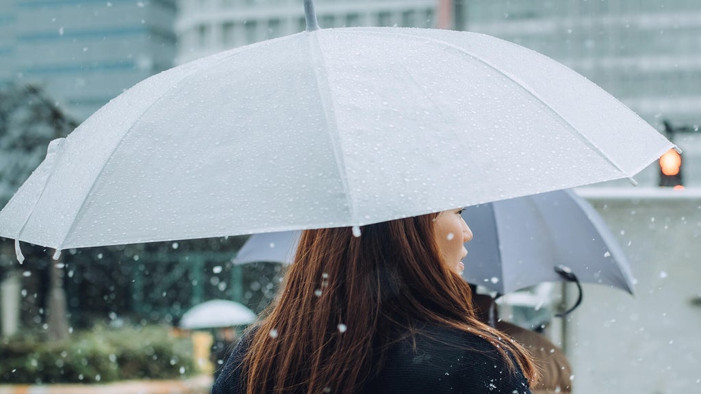 Soggy, chilly Thursday in the Twin Cities; season's first frost possible Saturday — WCCO / CBS Minnesota, Richfield Sports news