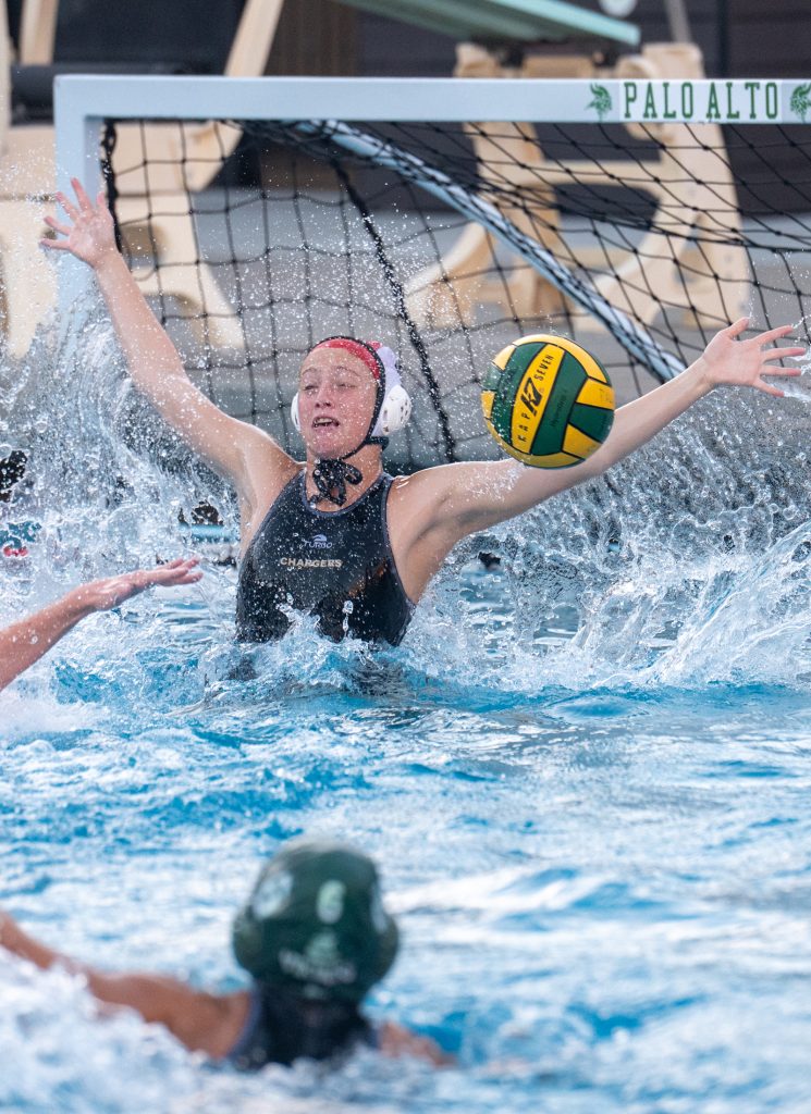 Wilcox Water Polo Caught in Vikings Rip Current — Silicon Valley Voice, Richfield Sports news