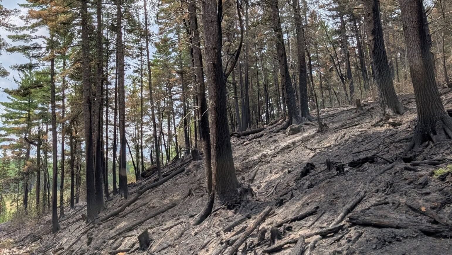 74-year-old who became separated from his family on a trail in Ely was discovered dead — KSTP 5, Richfield Community news