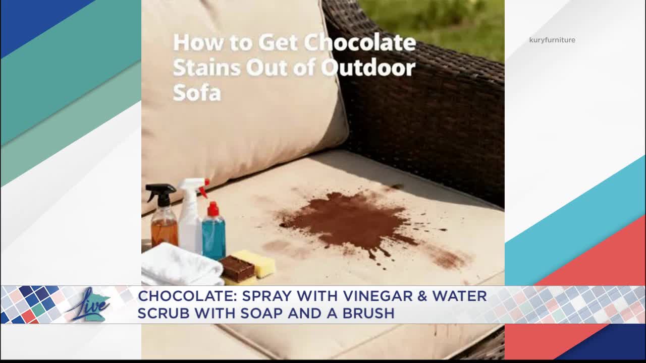 Tackling Stains of the Season — KSTP 5