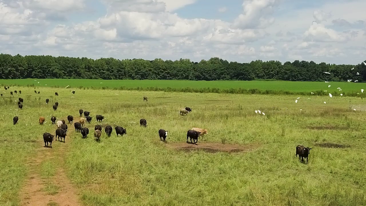 5 ON YOUR SIDE: Regenerative agriculture — Richfield Health news
