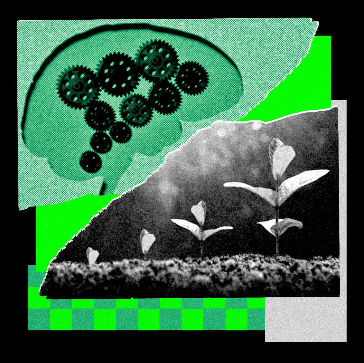 This Startup Is All In on Recursive Self-Improvement. Its Latest Model Is Scary Good — Wired, Richfield Technology news
