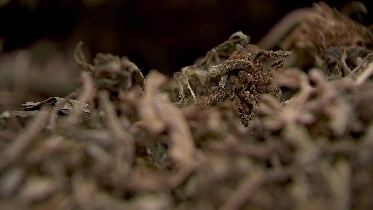 Hemp THC deadline hits $200 million industry, leads to layoffs, but liquor stores may maintain — FOX 9, Richfield Business news