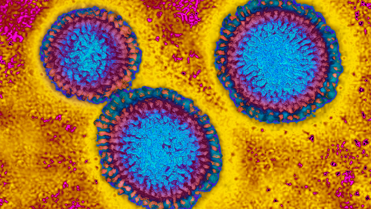 Flu hospitalizations 'slightly higher' than usual, officials urge vaccinations — FOX 9, Richfield Health news