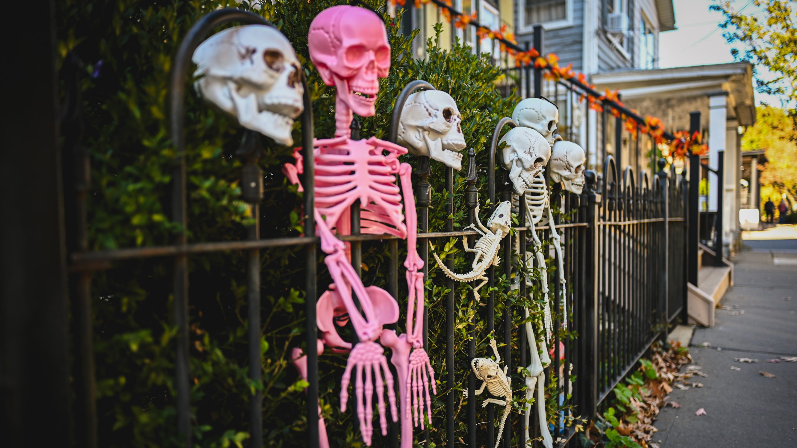 America's best cities for Halloween, ranked — FOX 9, Richfield Community news