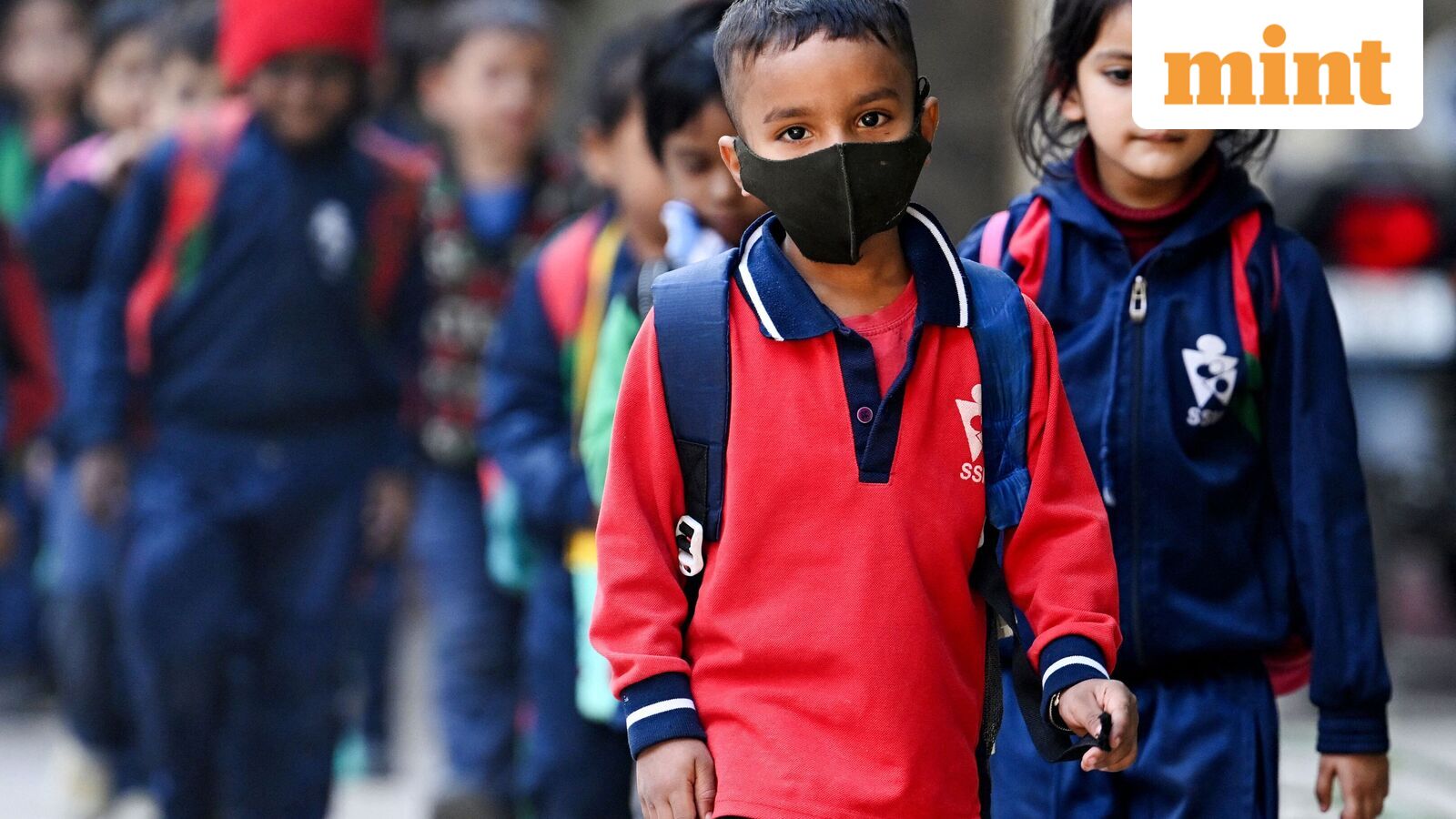 Chennai school holiday, Oct 21: Schools shut in four Tamil Nadu districts as heavy rains predicted | Check IMD alert — Mint India, Richfield Schools news